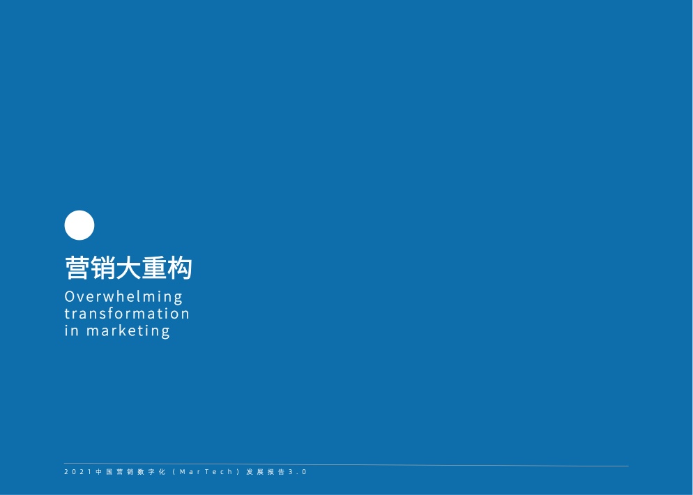 2021中國營銷數(shù)字化發(fā)展報告(圖25)
