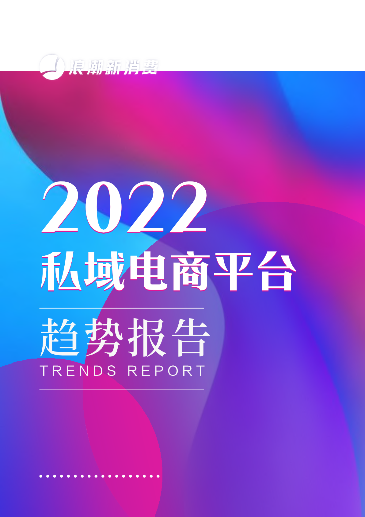 浪潮新消費(fèi)：2022私域電商平臺趨勢報告