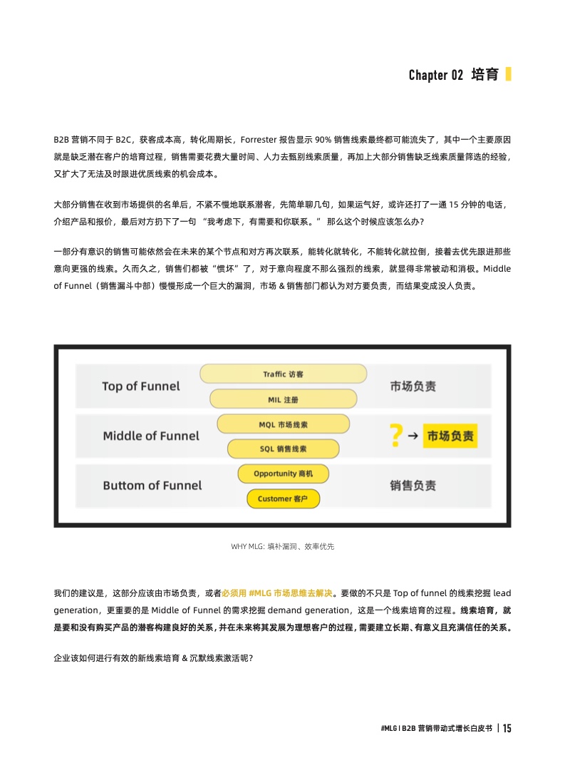 2022年B2B營銷帶動式增長白皮書(圖15)