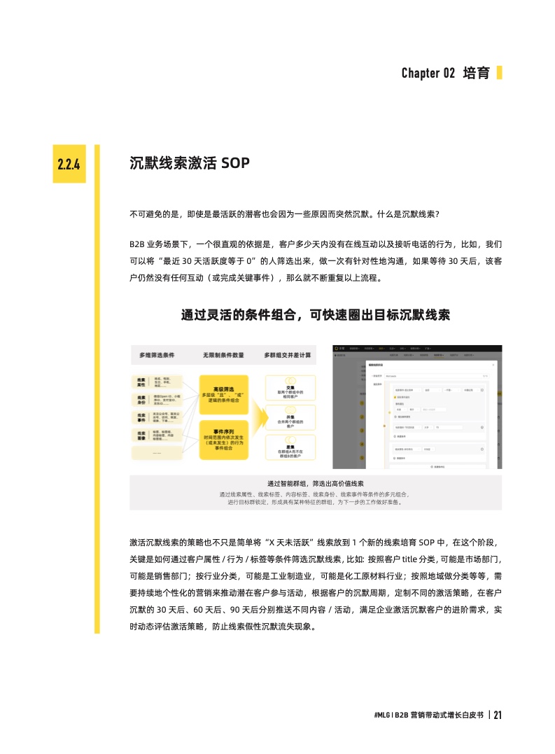 2022年B2B營銷帶動式增長白皮書(圖21)