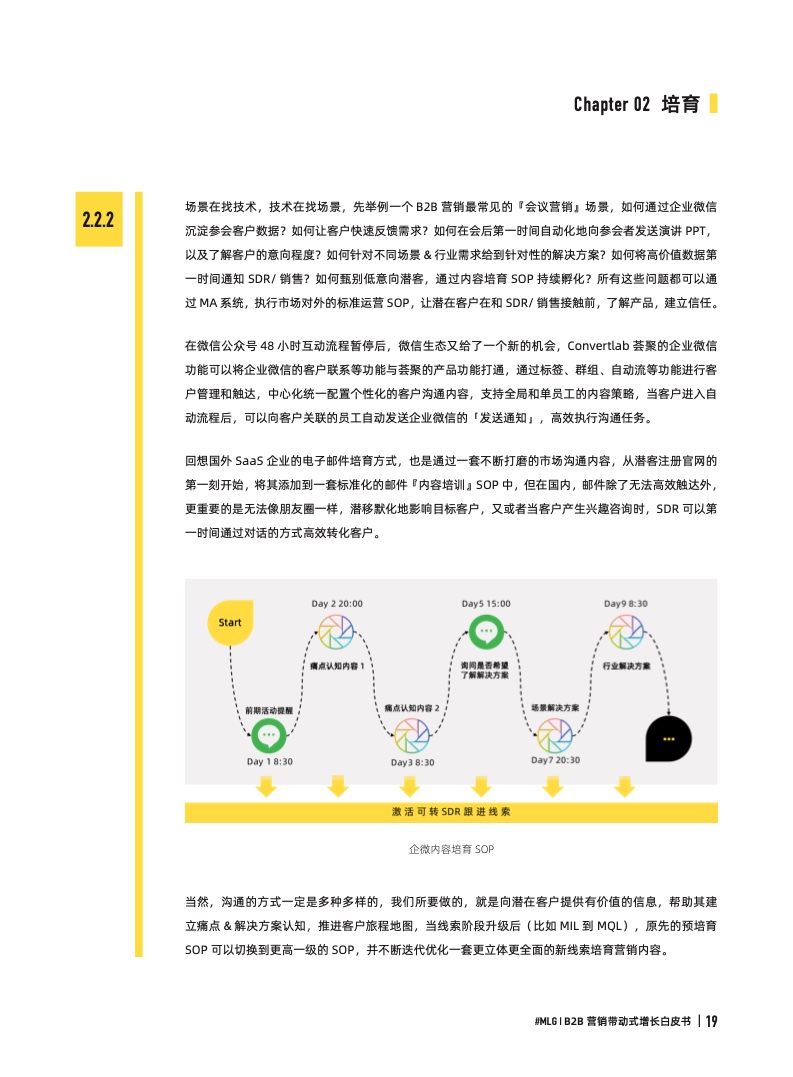 2022年B2B營銷帶動式增長白皮書(圖19)