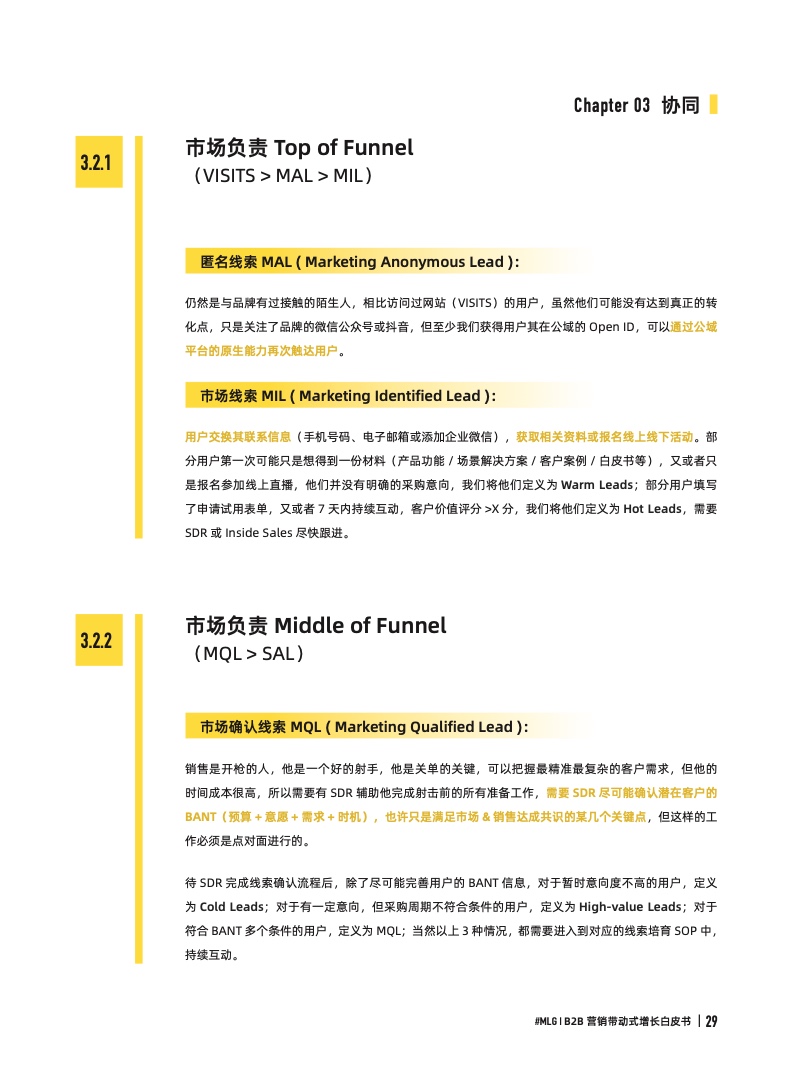 2022年B2B營銷帶動式增長白皮書(圖29)