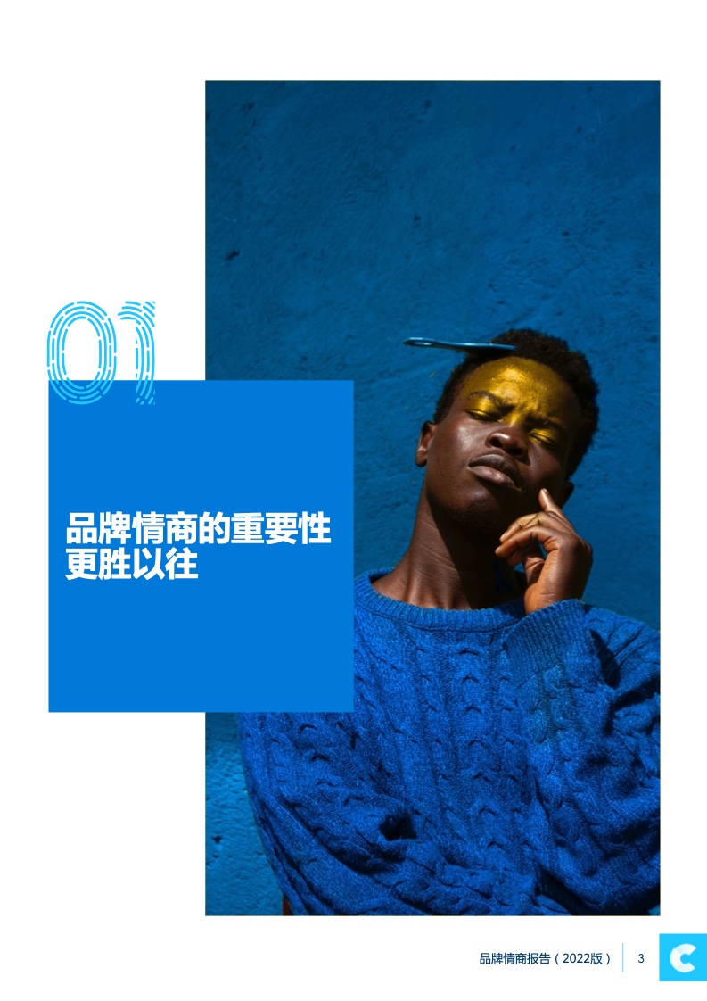 2022品牌情商報(bào)告(圖3)