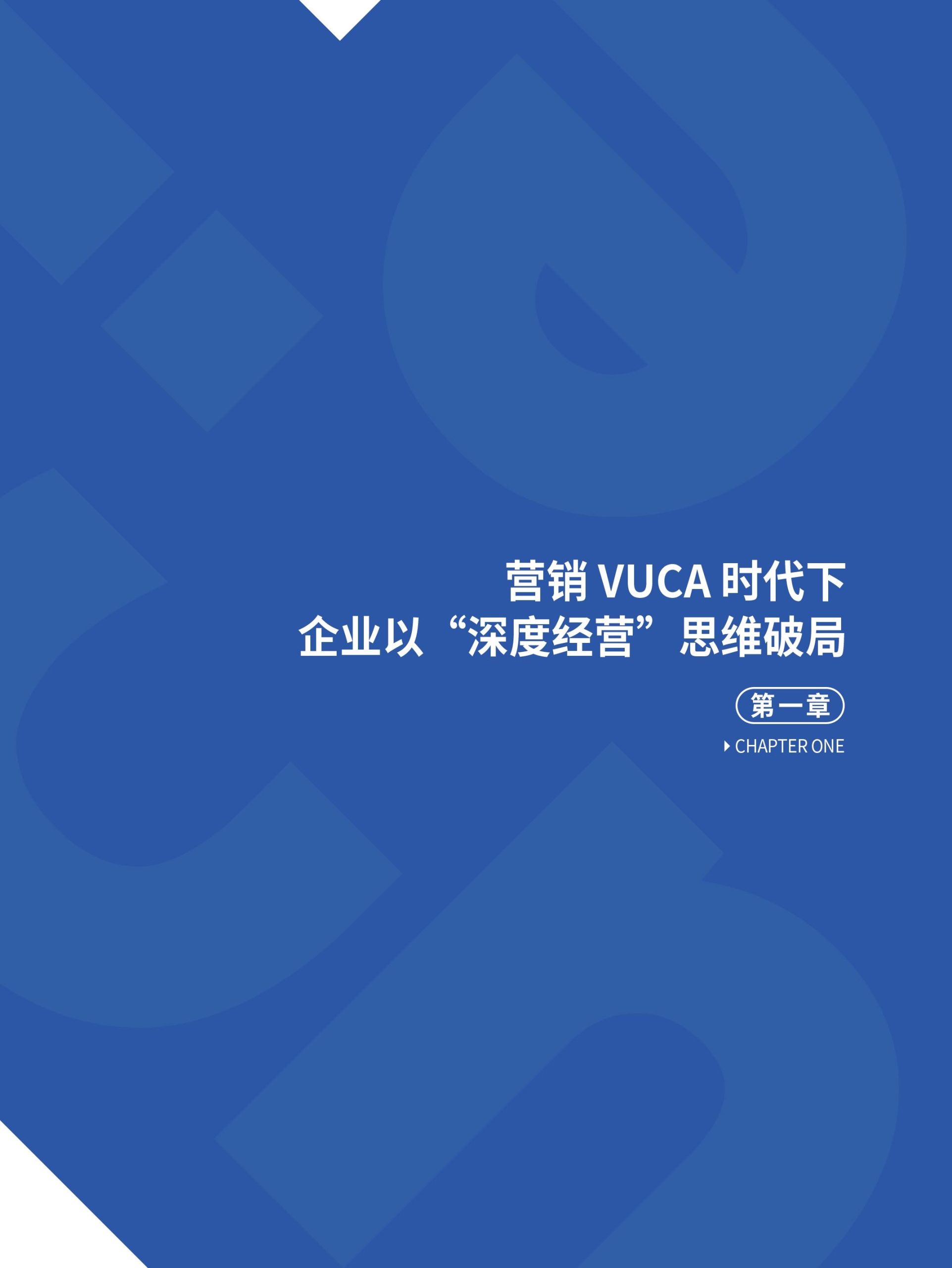 躍入新市井·快手新市井商業(yè)增長(zhǎng)白皮書(圖7)