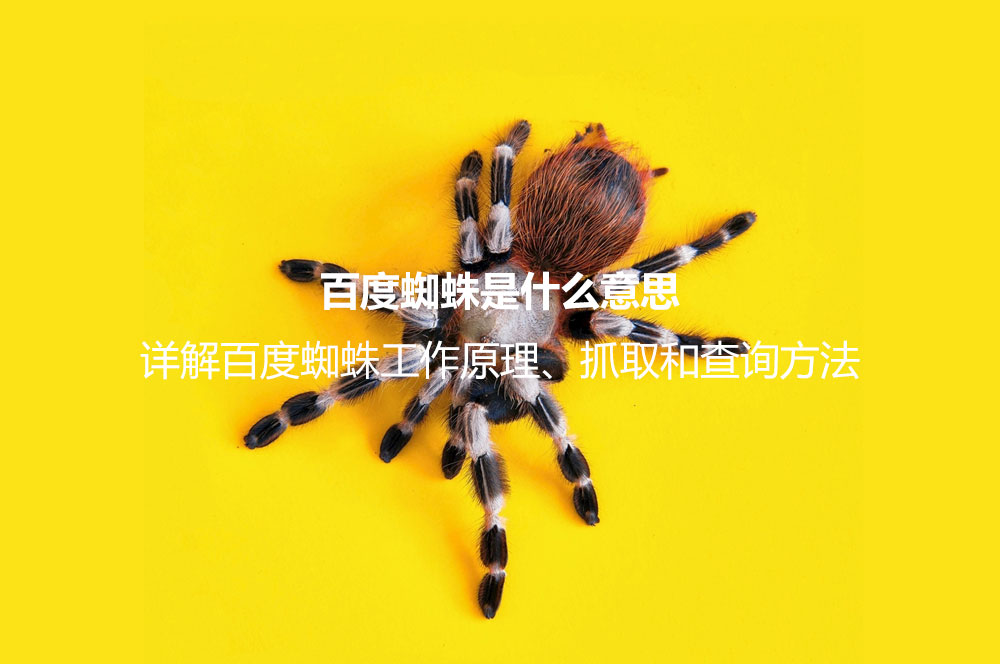 百度蜘蛛是什么意思？詳解百度蜘蛛工作原理、抓取和查詢方法