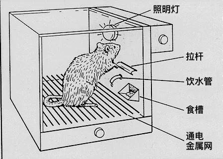 刷抖音停不下來？深度解析無限滾動的Feed流設計