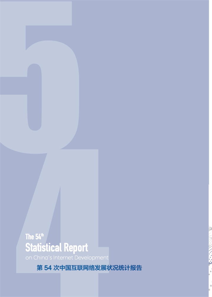 第54次中國互聯網絡發(fā)展狀況統(tǒng)計報告(圖28)