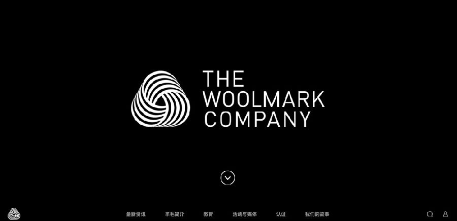 全球各行業(yè)企業(yè)官網(wǎng)設(shè)計標(biāo)桿之作(圖11)