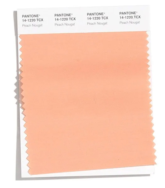 潘通PANTONE 2020秋冬紐約時(shí)裝周流行色報(bào)告(圖10)