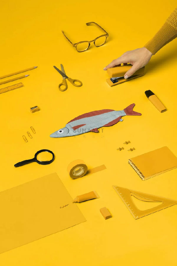 Don Fisher時尚品牌魚造型包包及官方網(wǎng)站設(shè)計(圖5)